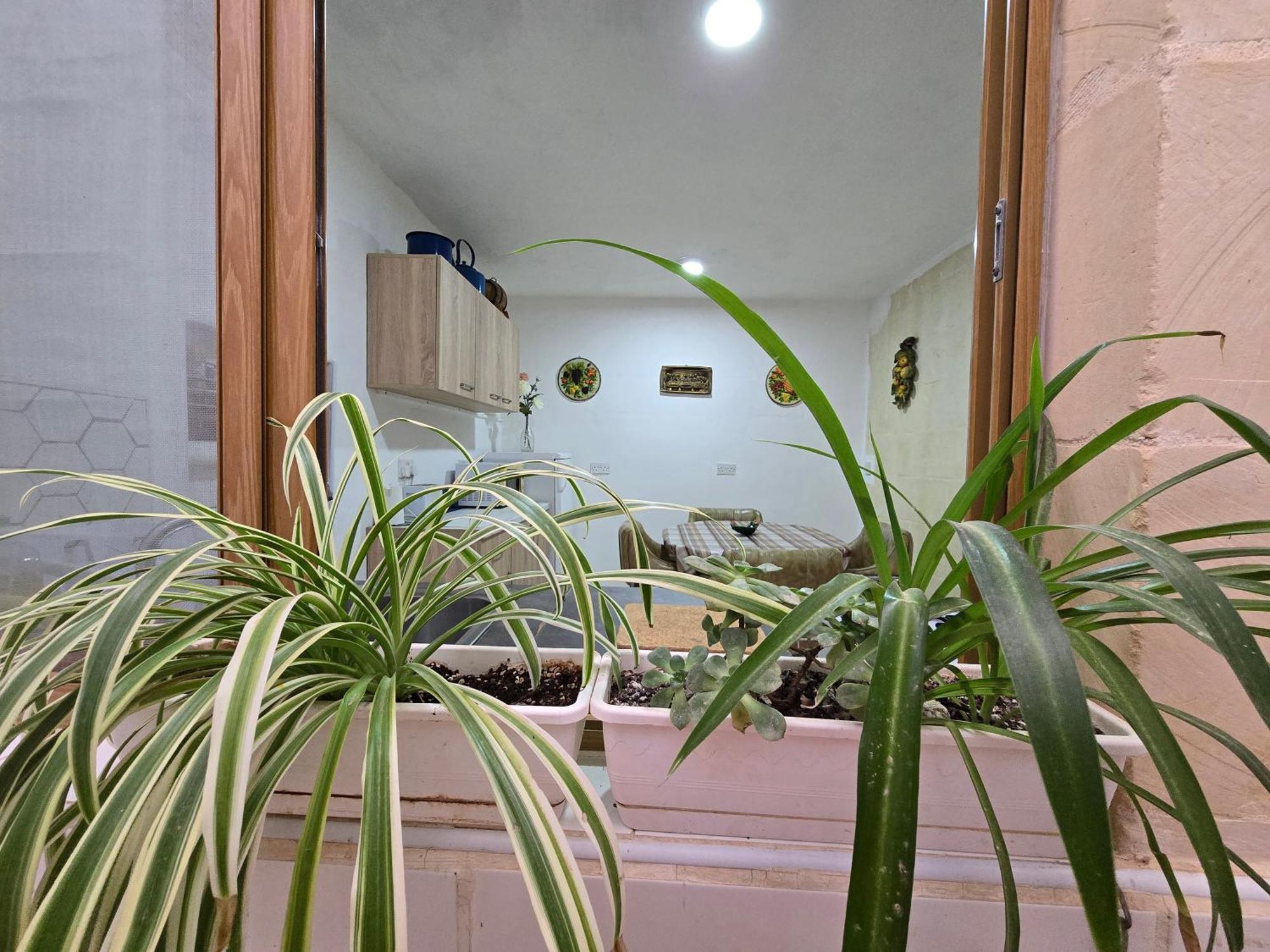 Charming Rustic Getaway In Xaghra, Gozo.アパートメント エクステリア 写真